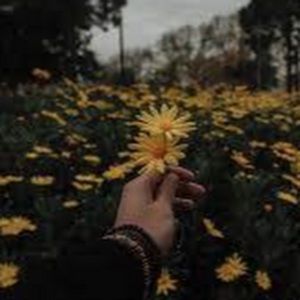 Meet your Posher, Erika